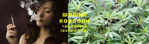крисы Иннополис