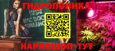 spice Бийск