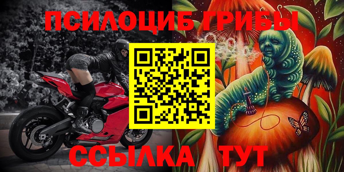 Псилоцибиновые грибы мицелий Конаково