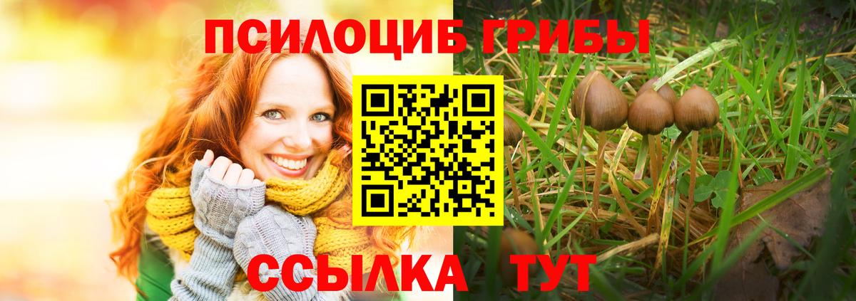 Псилоцибиновые грибы прущие грибы  Вход с VPN  Конаково 